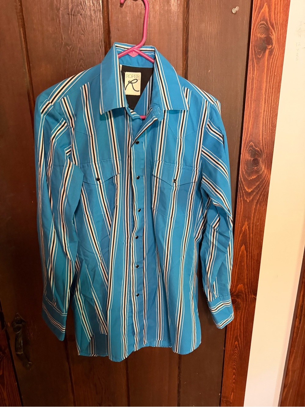 Vintage Roper Men’s Teal Striped Long-Sleeve Western Shirt Rare